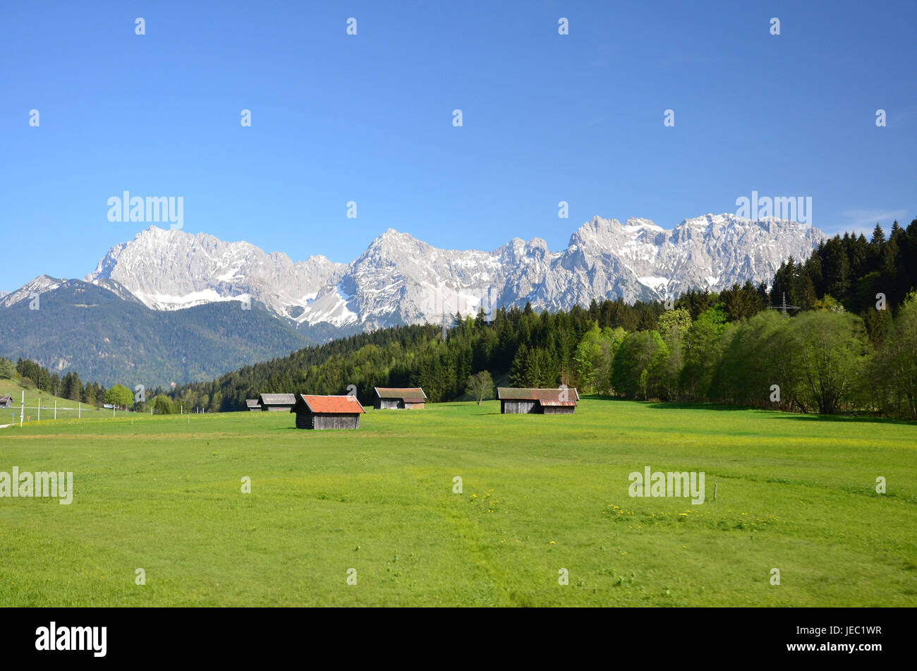 Deutschland, Bayern, alpinen Hochland, Wiese, Frühling, Berg Holz, Gebirge, Stockfoto