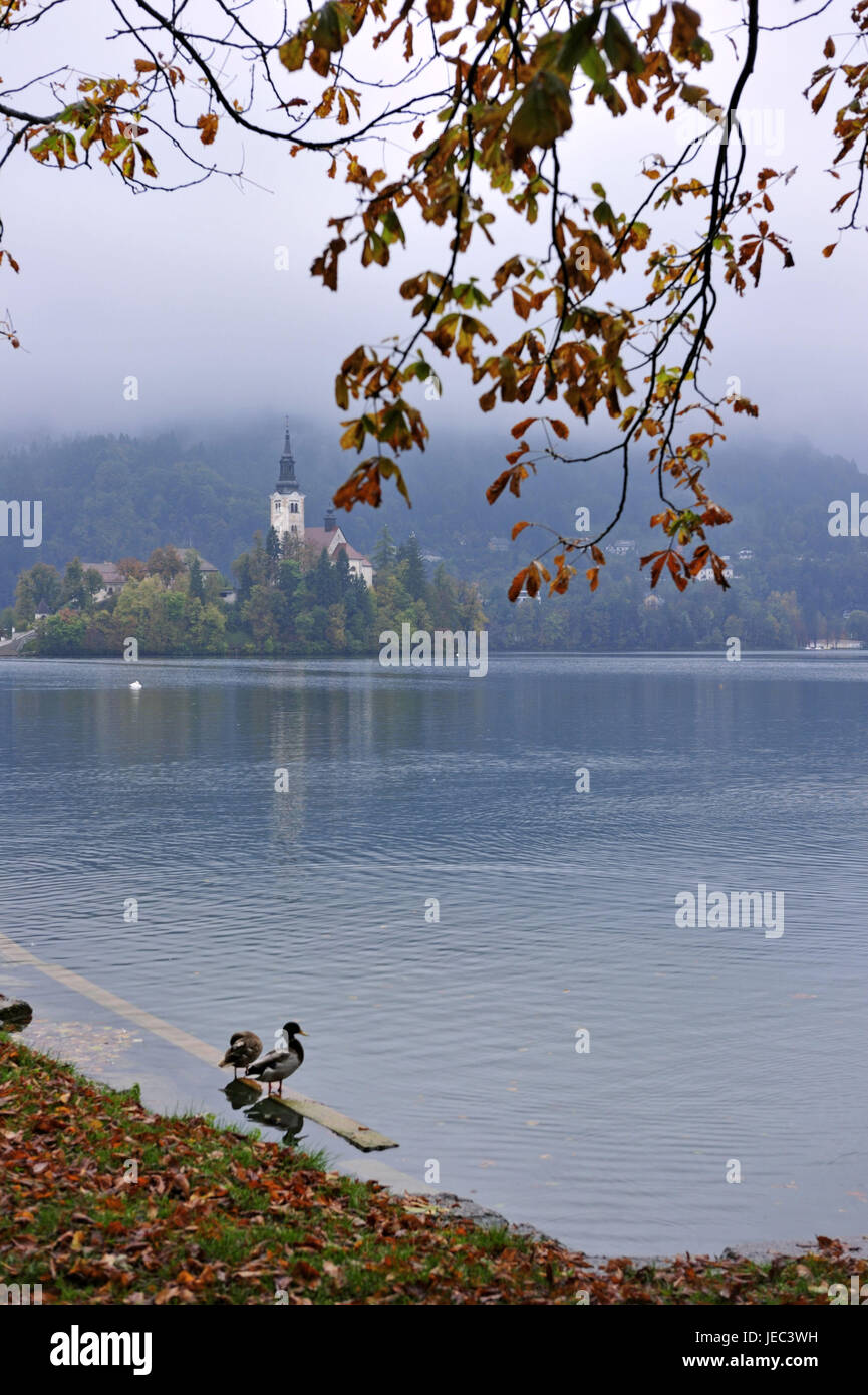 Slowenien, Region Gorenjska, Bled, Blick auf den Bleder See auf die Kirche, Stockfoto