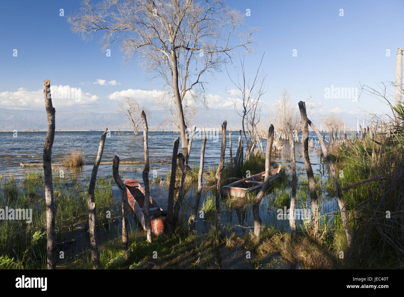 Salz See Lago Enriquillo, Provinz Independencia, der Dominikanischen Republik, Stockfoto