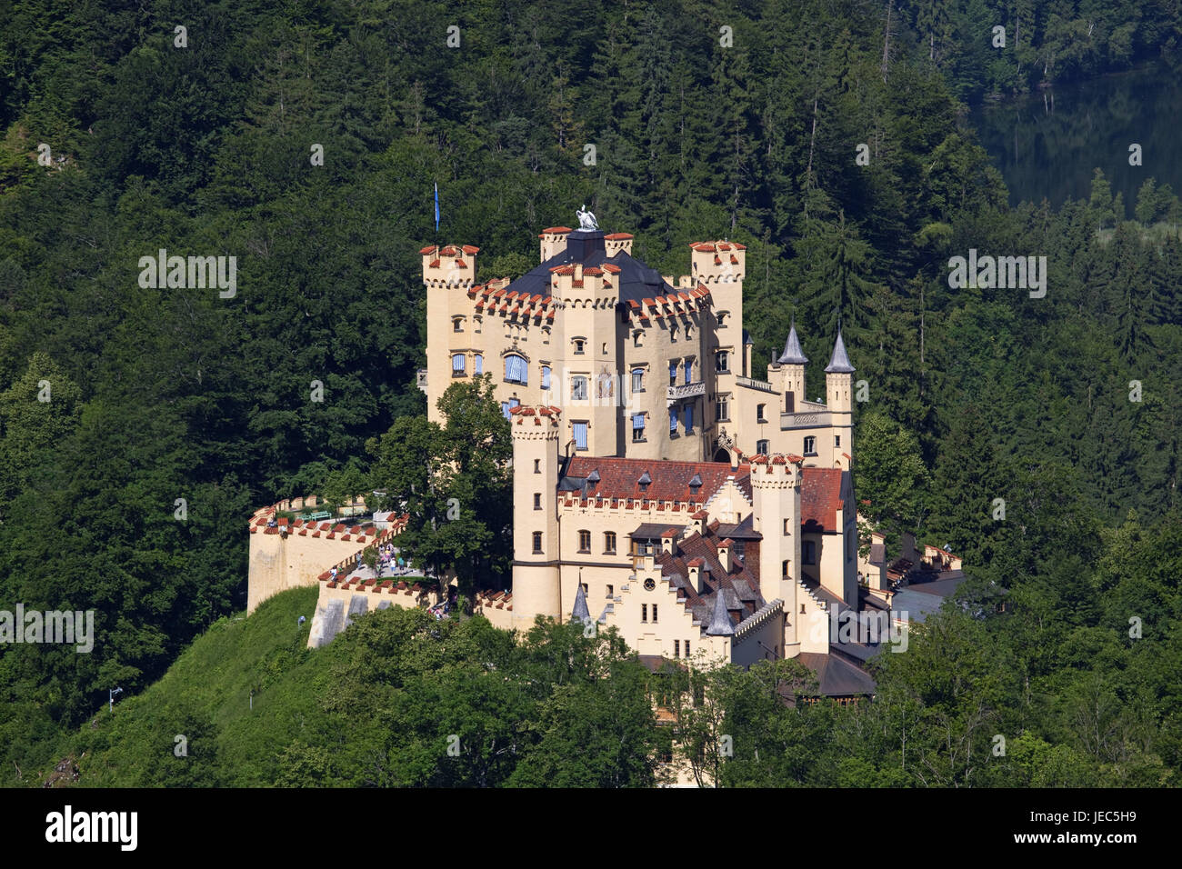 Sperren Sie hohe Schwan Region, Swans Region, mit Füßen, Allgäu, Bayern, Deutschland, Stockfoto