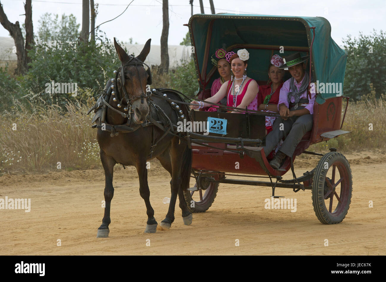 Spanien, Andalusien, el Rocio, Romeria, Pilger in einem einspännigen Kutsche, Stockfoto