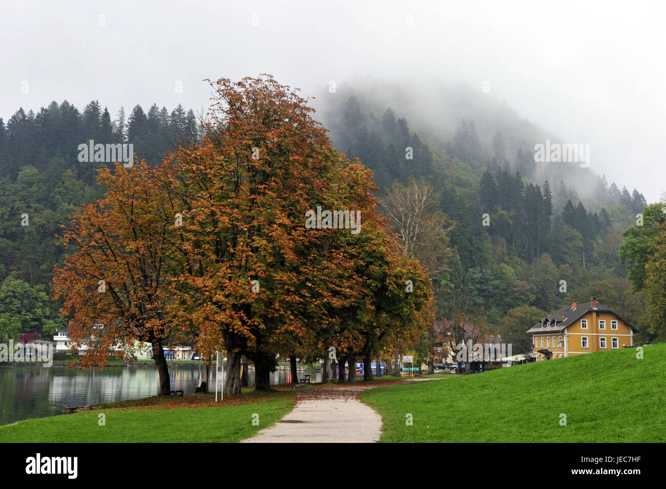 Slowenien, Region Gorenjska, Bled, Herbstlandschaft und Nebel, Stockfoto