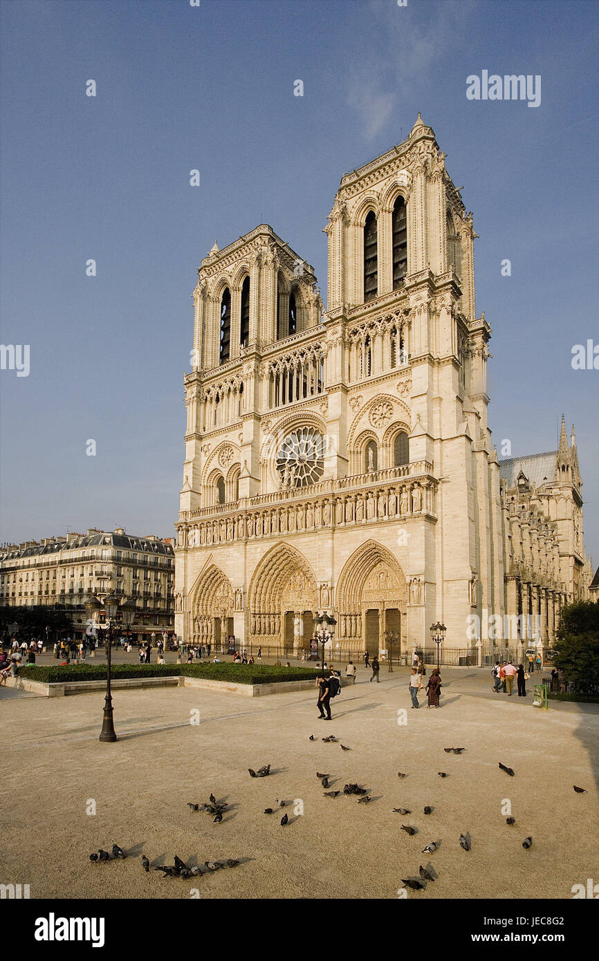 Frankreich, Paris, Kathedrale NotreDame, Vorplatz, Tourist, Hauptstadt