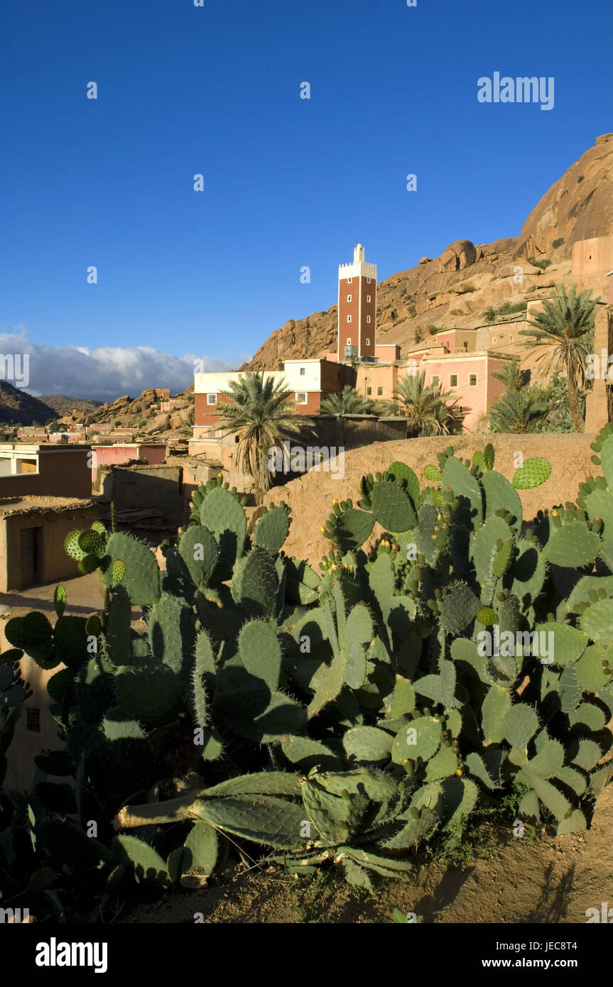 Marokko, Tafraoute, lokale Ansicht, Minarett, Kakteen, Afrika, Nordafrika, Berge, Berg, Landschaft, Faltengebirge, Bergdorf, Gebäude, Häuser, Architektur, Turm, Landschaft, felsig, Vegetation, Stockfoto