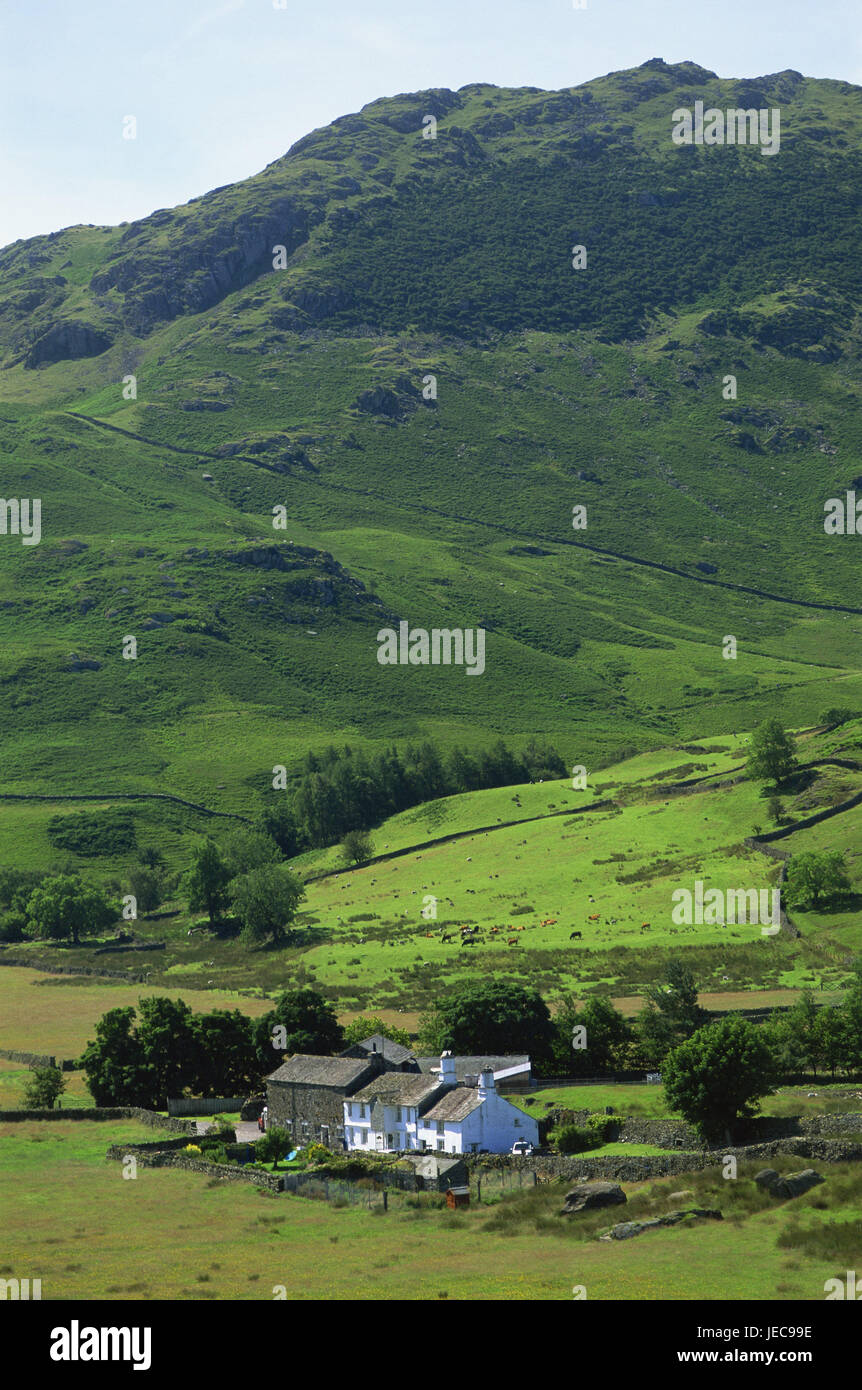 Großbritannien, England, Cumbria, Sole-District, Bauernhof, Landschaft, Europa, Breite, Abstand, Berg, Hügel, Wiesen, grün, Haus, Bauernhaus, Architektur, Mauern, Stein Mauern, anzeigen, ländlich, aus der Ferne, Stockfoto