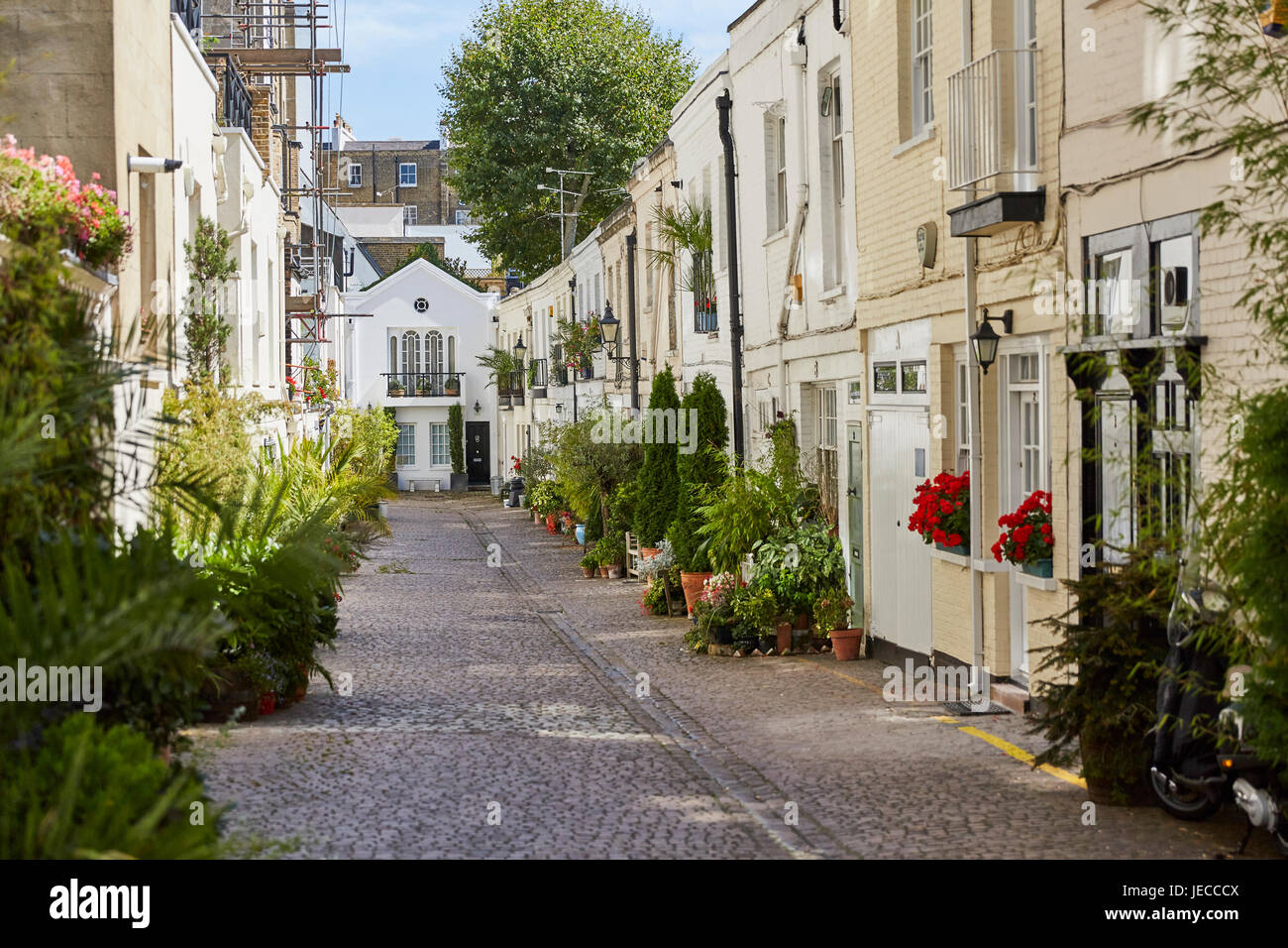 Stanhope Mews South, London, UK Stockfoto