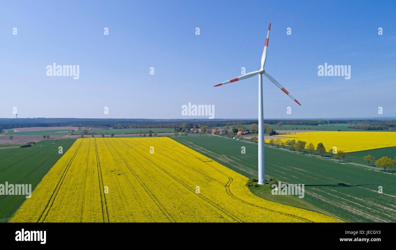 Luftbild des Raps Feld und Wind Power Station in der Nähe von Suelbeck, Niedersachsen, Deutschland Stockfoto