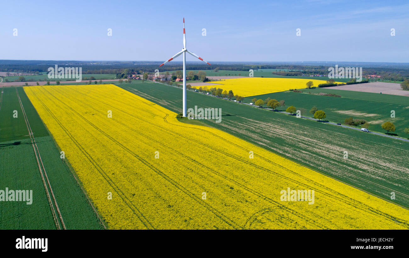 Luftbild des Raps Feld und Wind Power Station in der Nähe von Suelbeck, Niedersachsen, Deutschland Stockfoto