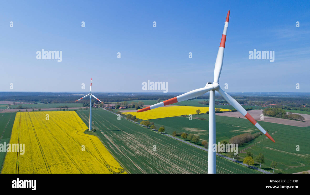 Luftbild des Raps Feld und Wind Kraftwerke in der Nähe von Suelbeck, Niedersachsen, Deutschland Stockfoto