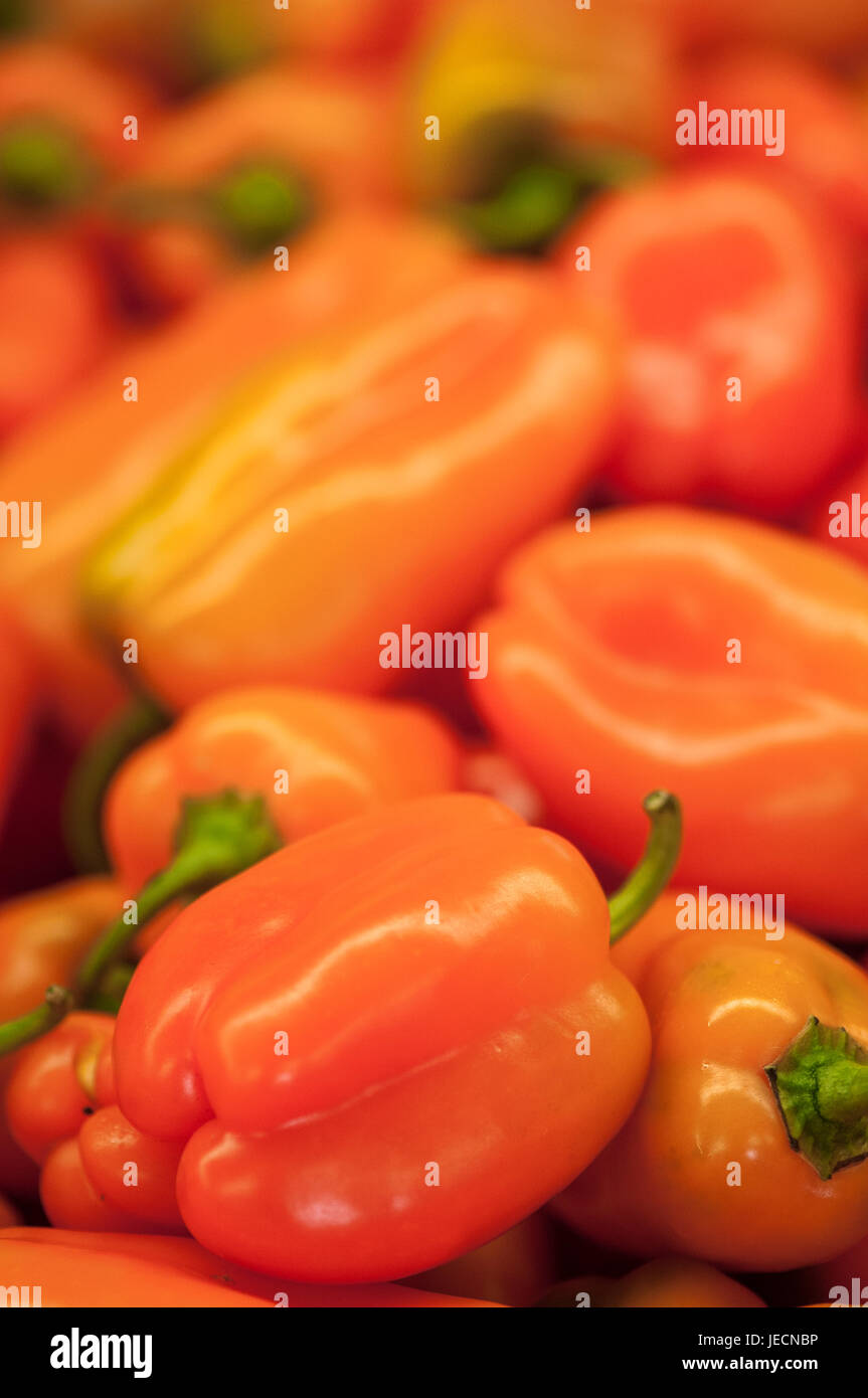 Yum-Yum Paprika auf einem Obst- und Gemüse-Stand. Stockfoto