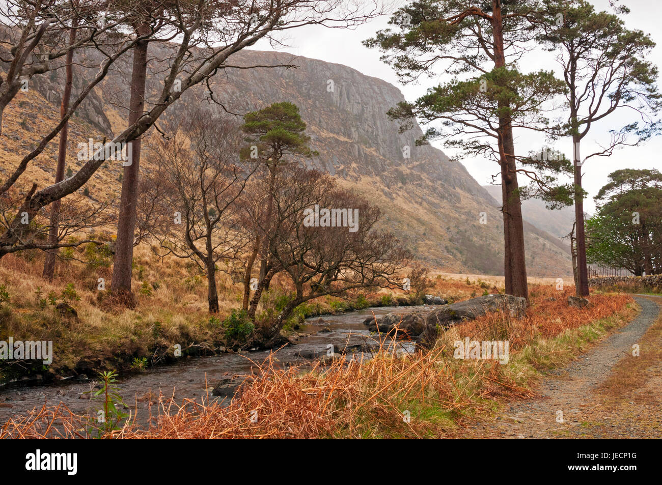 Berge, Bach und Weg, Glenveagh National Park, Irland Stockfoto