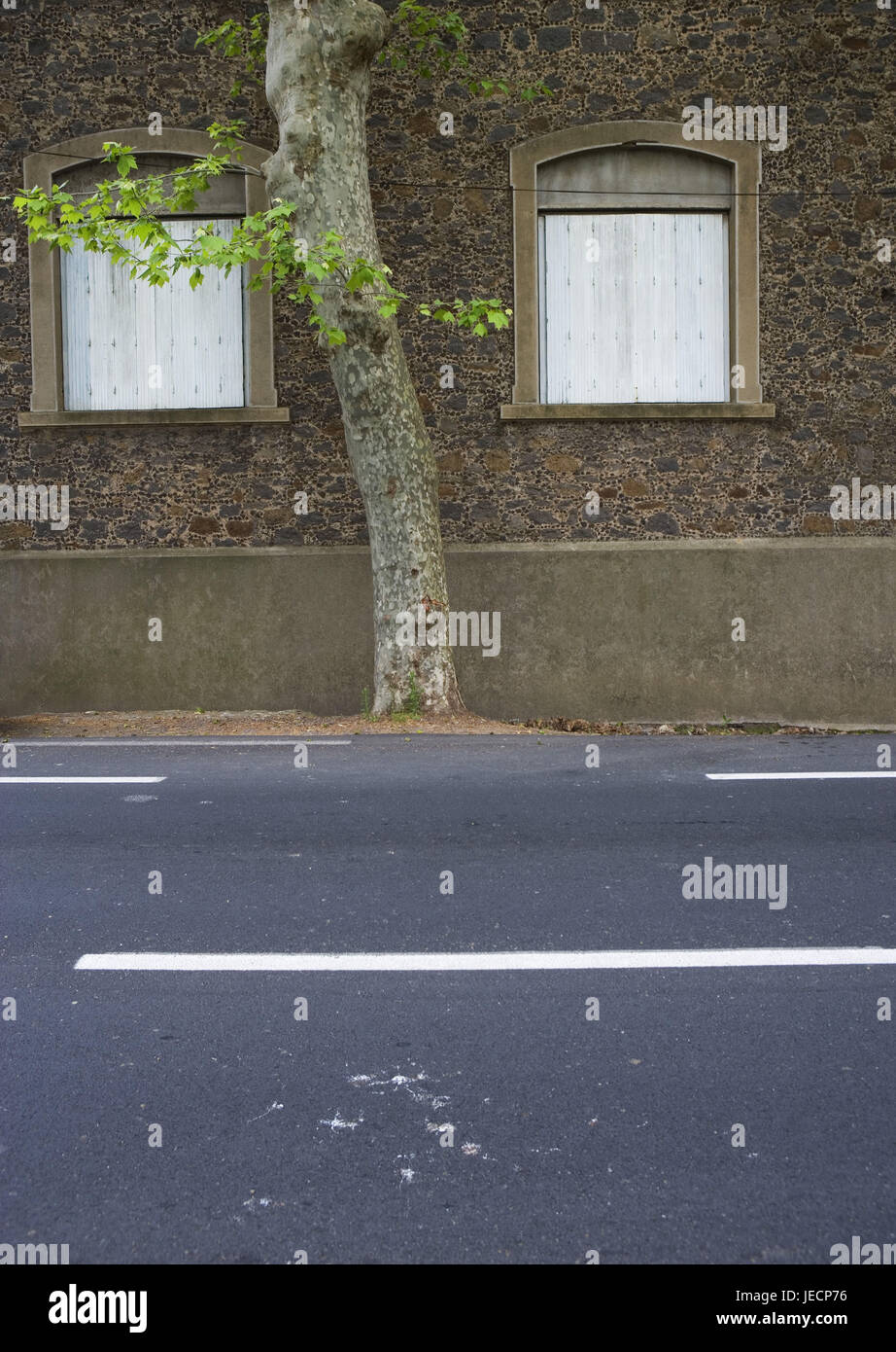 Straßenrand, Baum, Hausfassade, Detail, Stockfoto