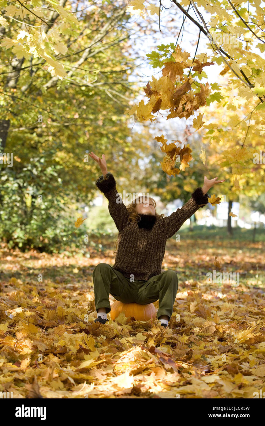 Mädchen, Falle Herbstlaub, Herbstlaub, Kürbis, Sit es Lächeln, Modell veröffentlicht, Kind, Menschen, Rothaarige, glücklich, glücklich, geschmolzen, Kleidung, cord Pullover, Herbstlaub, Ahornblätter, hell, Saison, Herbst, Holz, Sonne, Stockfoto