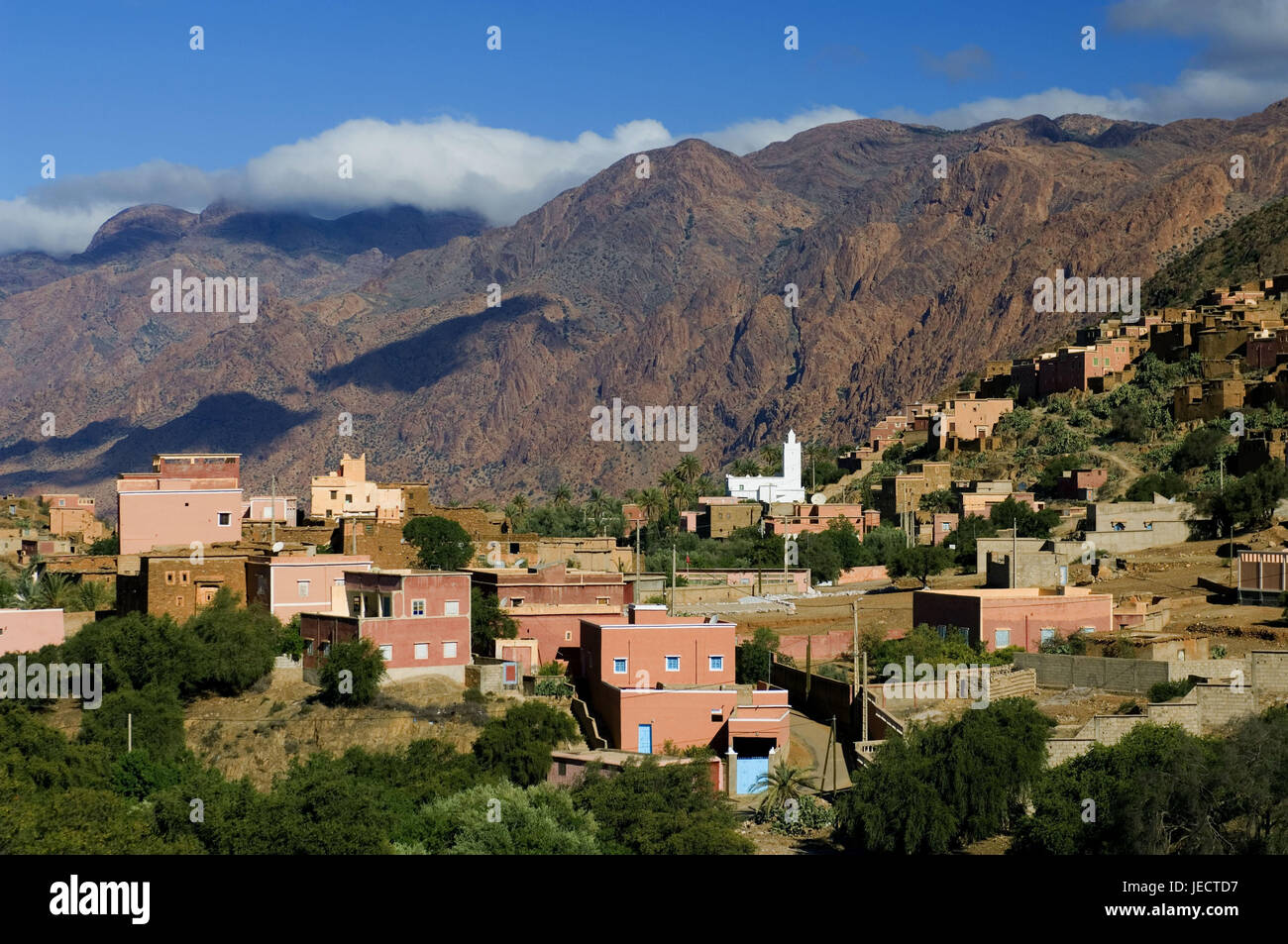 Marokko, Tafraoute, lokale Ansicht, Afrika, Nordafrika, Berge, Berglandschaft, Faltengebirge, Bergdorf, Gebäude, Häuser, Architektur, Turm, Felsen, felsig, Vegetation, Wohnhäuser, Stockfoto