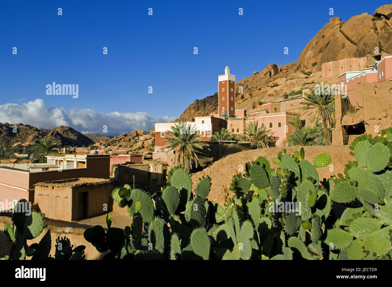 Marokko, Tafraoute, lokale Ansicht, Minarett, Kakteen, Afrika, Nordafrika, Berge, Berg, Landschaft, Faltengebirge, Bergdorf, Gebäude, Häuser, Architektur, Turm, Landschaft, felsig, Vegetation, Stockfoto