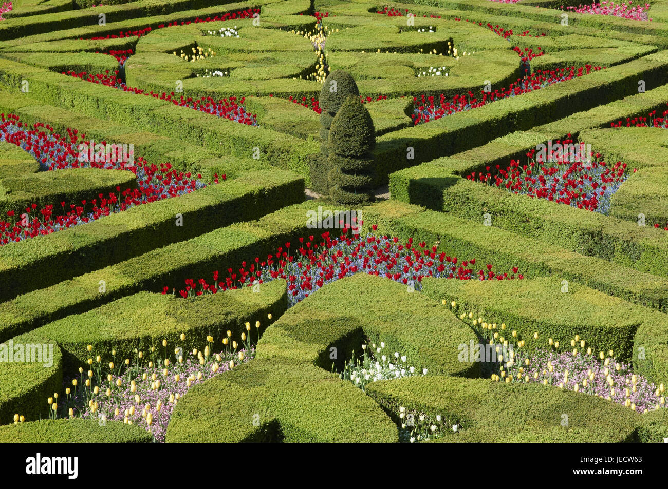 Frankreich, Schloss Villandry, Schloss-Garten, Stockfoto