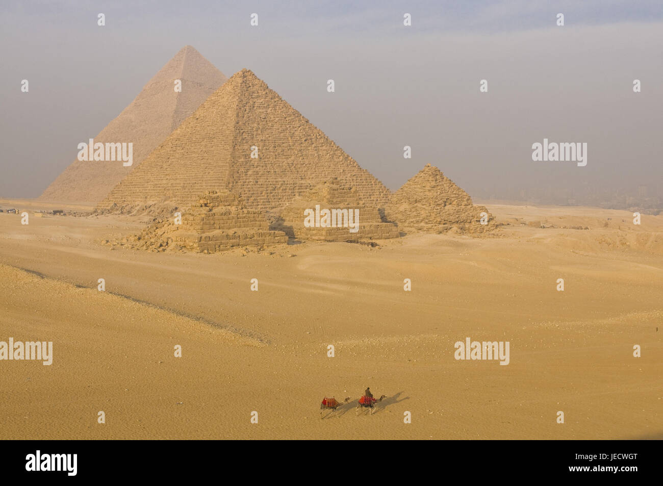 Bluten Sie auf Kamel vor den Pyramiden von Gizeh, Ägypten, Afrika, Stockfoto