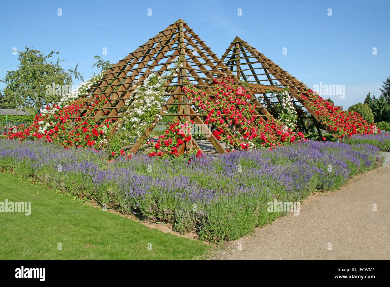 Deutschland, Hessen, Hutmacher, Rosarium, Pergola, Lavendel, Rosen, rose Hausgarten, rose, Blüte, Blüte, Blumen, hölzerne Gerüste, Sehenswürdigkeit, Natur, Lavandula, Himmel, blau, Sonne, Stockfoto