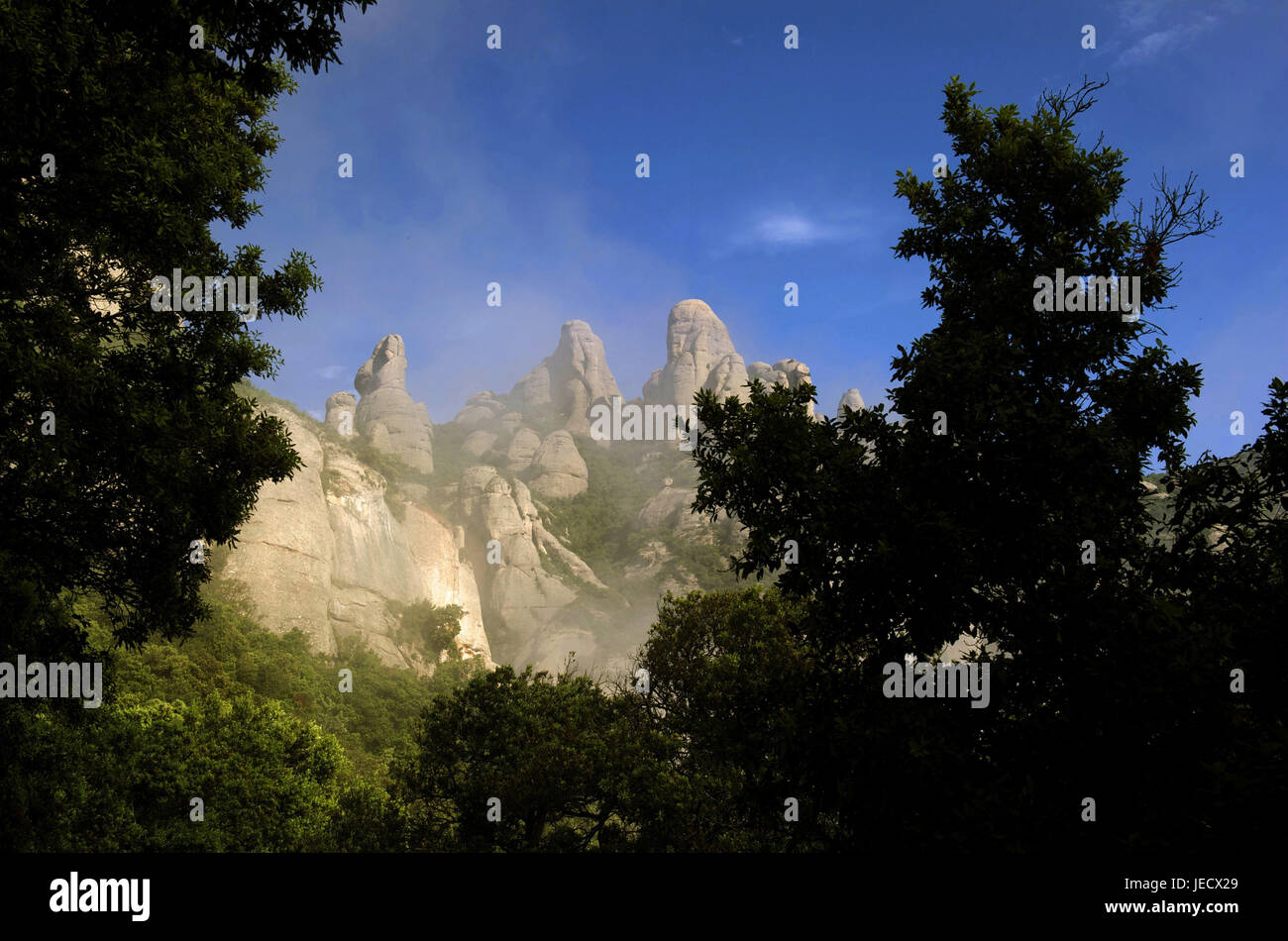 Spanien, Katalonien, Galle-Bildung in der Sierra Montserrat, Stockfoto