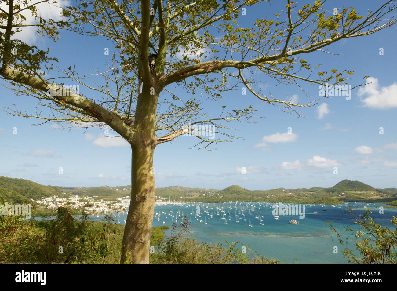 Martinique, Panorama Blick auf Cul de Sac Sie Marine, Stockfoto