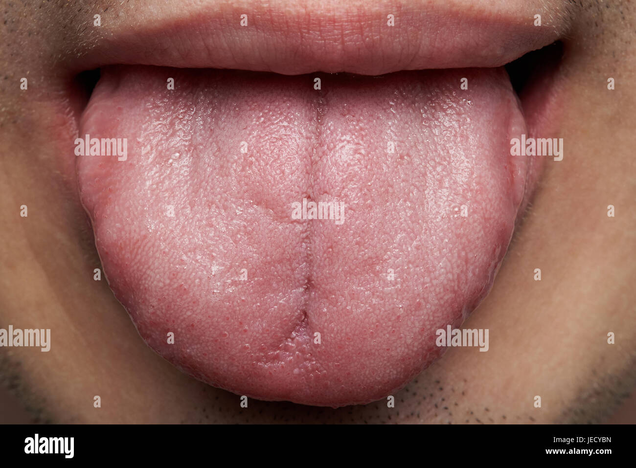 Makro der menschlichen Zunge. Mann zeigen Zunge Nahaufnahme Stockfoto