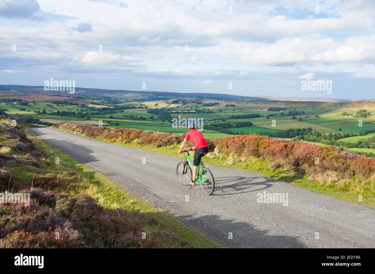 Männliche Radfahrer in der Nähe von Westerdale in den North York Moors National Park. North Yorkshire, England. UK Stockfoto