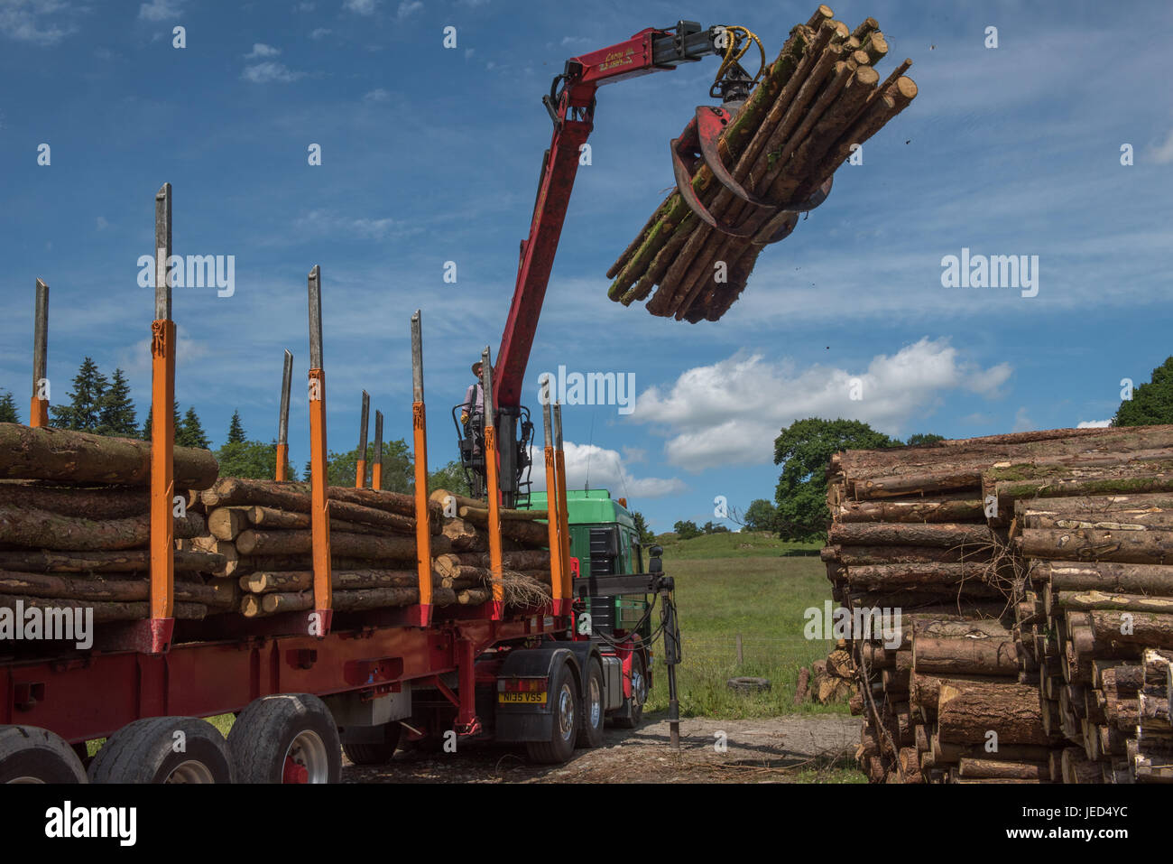 Laden gesägt Protokolle auf einen LKW zu weit Sawrey in Cumbria Stockfoto