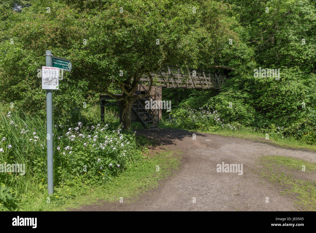 Ein Fußweg in den Roslin Glen Country Park in Midlothian, Schottland Stockfoto