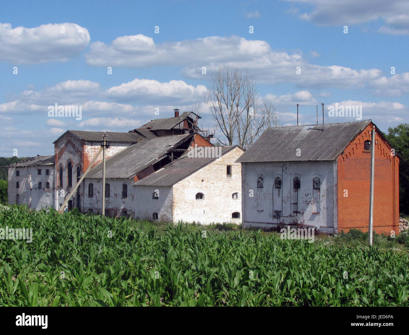 Homestead: Altbau, Brennerei. Belarus. Stockfoto