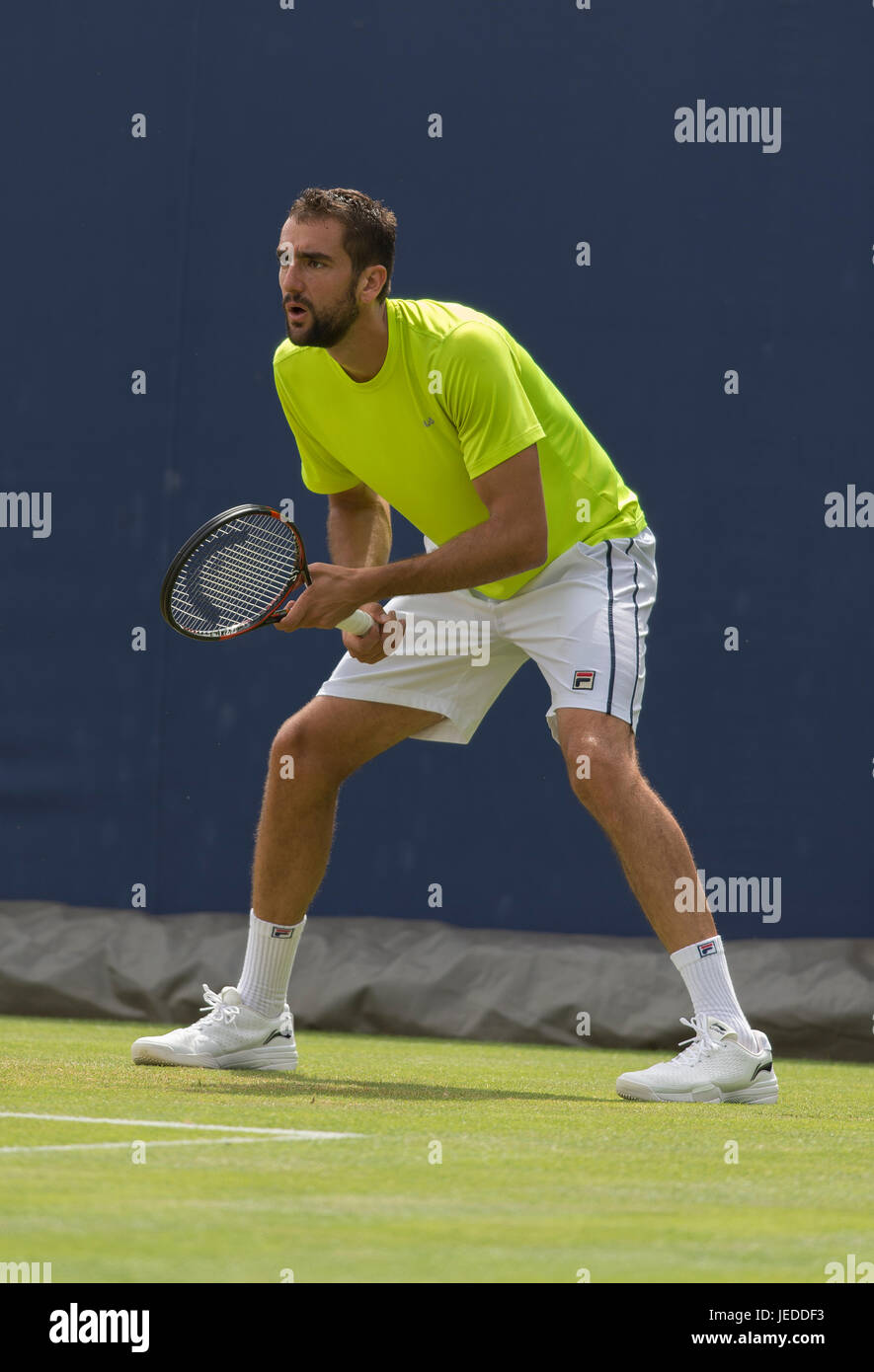 Die Queen's-Club, London, UK. 24. Juni 2017. Tag 6 der 2017 Aegon Championships im West London Club, semi-Finaltag mit Marin Cilic (CRO) im Warm up am Übungsplatz. Bildnachweis: Malcolm Park / Alamy Live News. Stockfoto