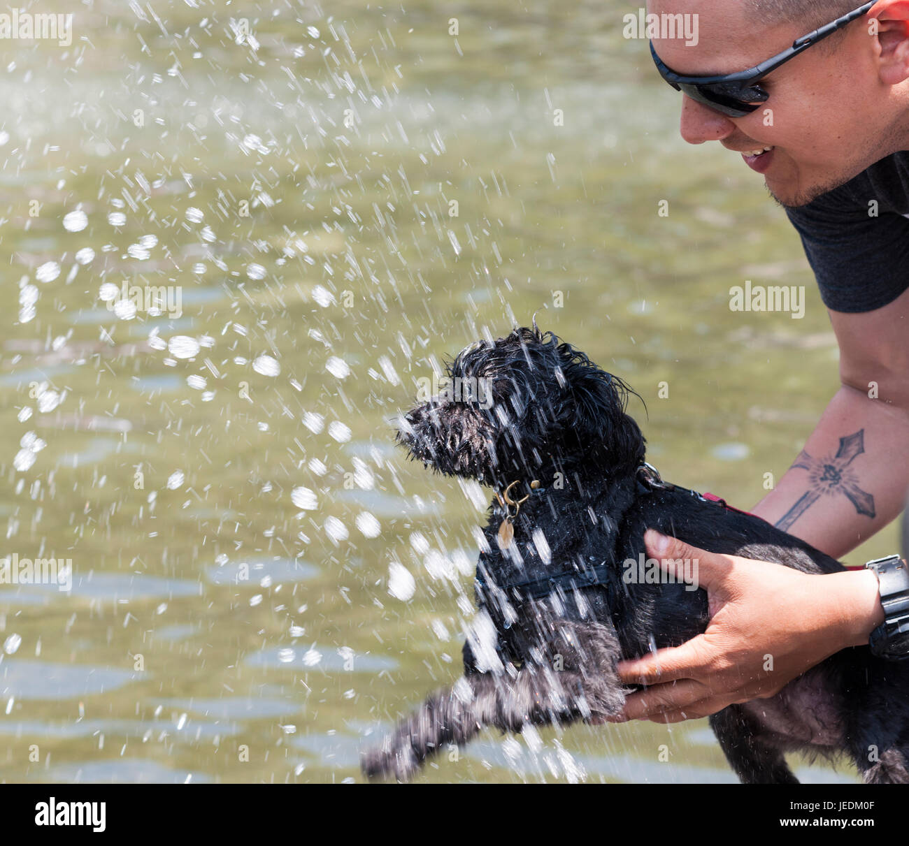 Ein Tierbesitzer hilft sein Welpe Entweichen der Wärme in den Brunnen im Washington Square Park in Greenwich Village in New York auf Dienstag, 13. Juni 2017. Temperaturen haben die 90-Grad-Marke in der Stadt für drei Tage in einer Reihe, so dass es offiziell eine Hitzewelle verletzt. (© Richard B. Levine) Stockfoto Ein Tierbesitzer hilft sein Welpe Entweichen der Wärme in den Brunnen im Washington Square Park in Greenwich Village in New York auf Dienstag, 13. Juni 2017. Temperaturen haben die 90-Grad-Marke in der Stadt für drei Tage in einer Reihe, so dass es offiziell eine Hitzewelle verletzt. (© Richard B. Levine) Stockfoto