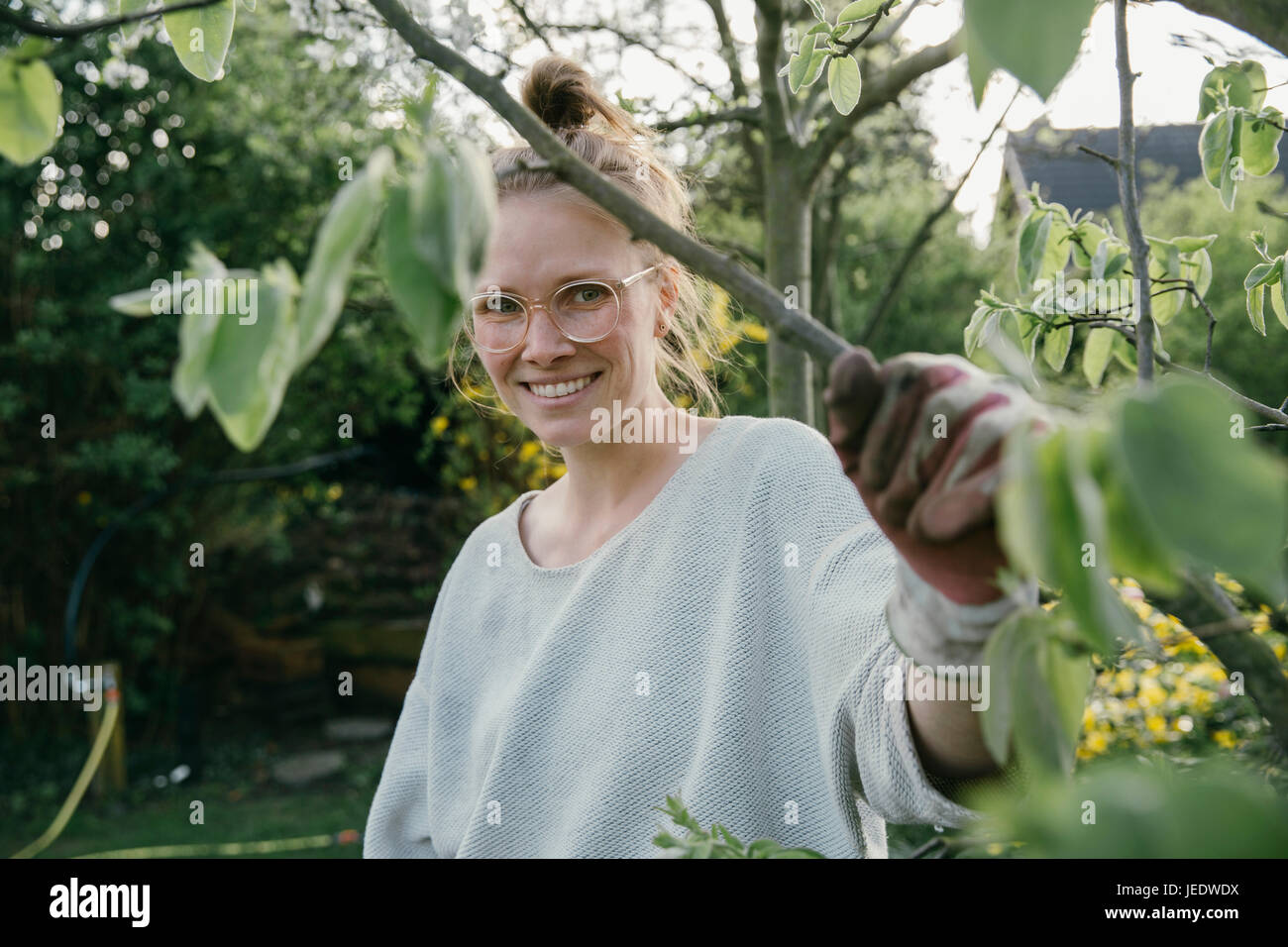 Porträt der jungen Frau hält ihre Quitte Baum Stockfoto