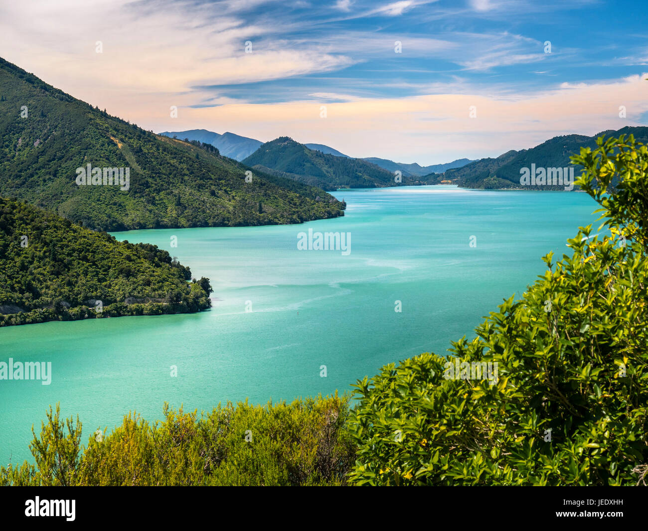 neuseeland-s-dinsel-marlborough-sounds-nationalpark-stockfotografie