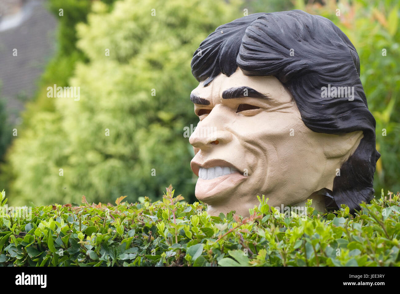 Kopf von Mick Jagger auf eine Hecke Stockfoto