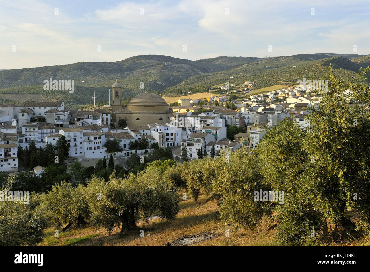 Spanien, Andalusien, Montefrio, Olivenbäume im Vordergrund, Stockfoto