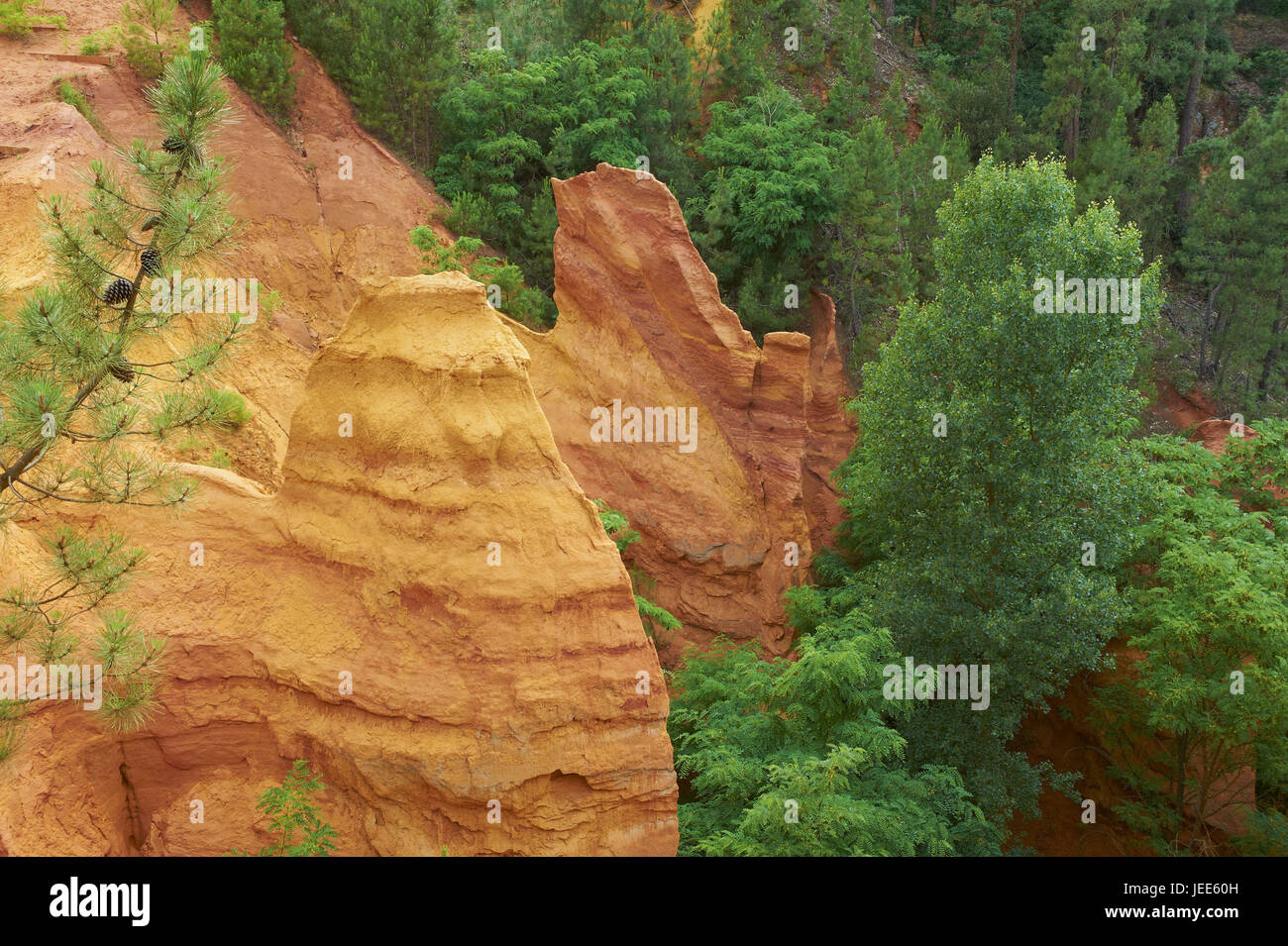 Frankreich, Vaucluse, Lubéron, ockerfarbenen Felsen, Stockfoto