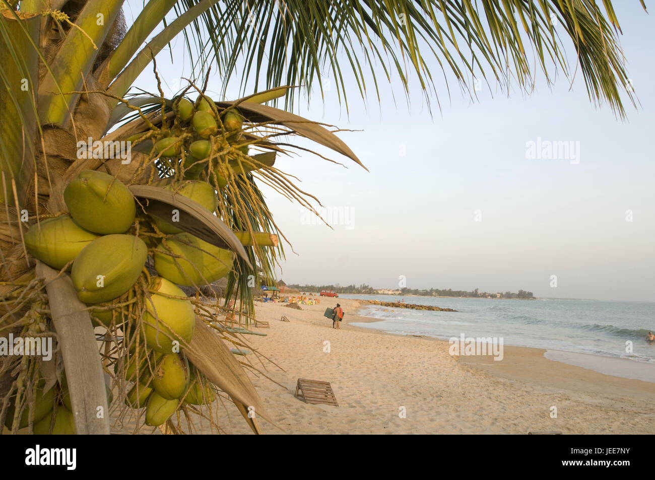 Meer, Strand, Kokospalme, Saly, Petite Cote, Senegal, Stockfoto