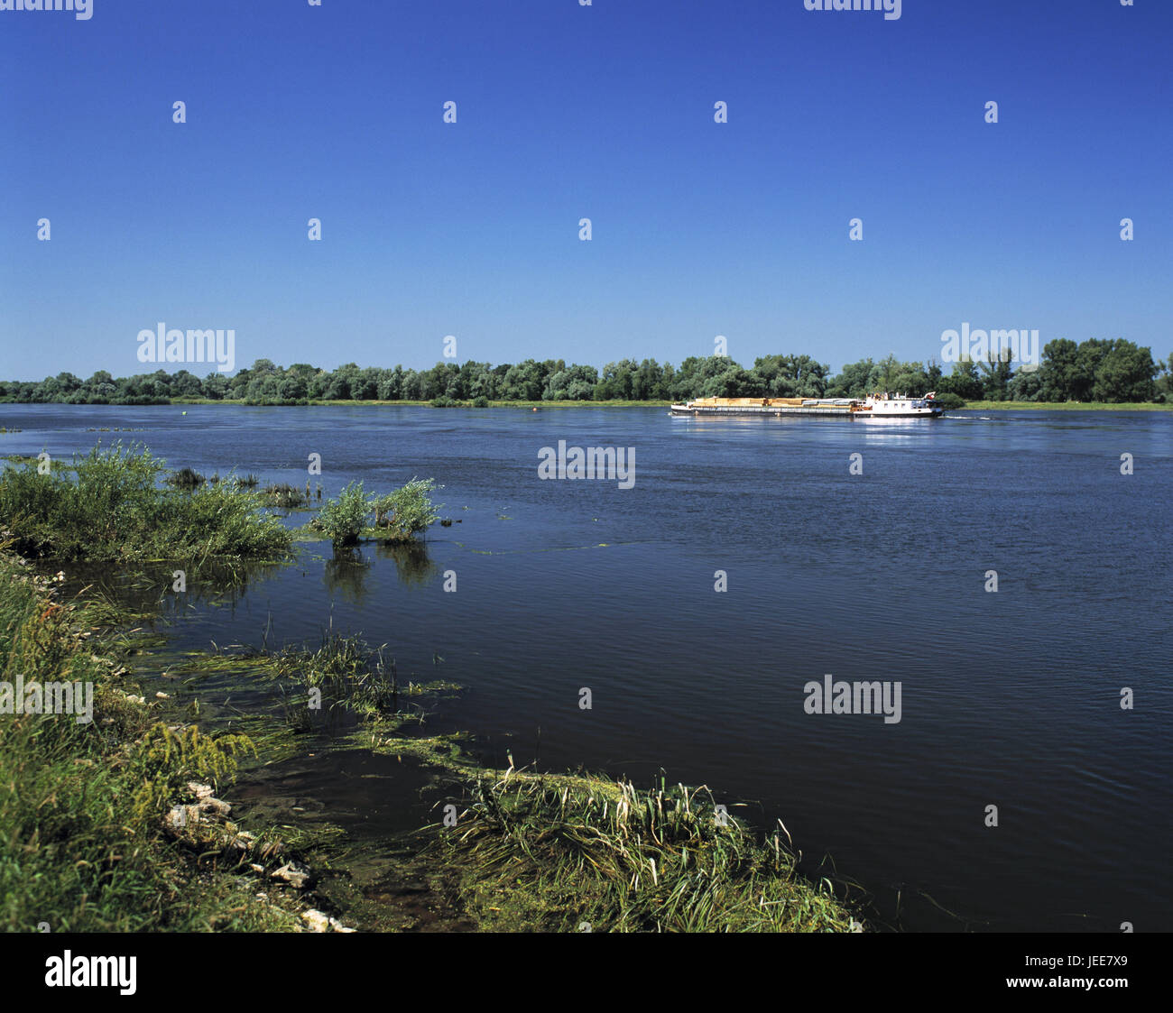 Deutschland, Oderlandschaft, Oderbruch, Frachter, Blick auf Polen, Landschaft, Landschaft Fluss, Fluss, oder, Wasser, Wasser, Fluss, Natur, Lebensraum, Ökologie, Grenzgebiet, Schiff, Riverboat Reise, Navigation, Binnenschiff Fahrt, Schiffsverkehr, Stockfoto