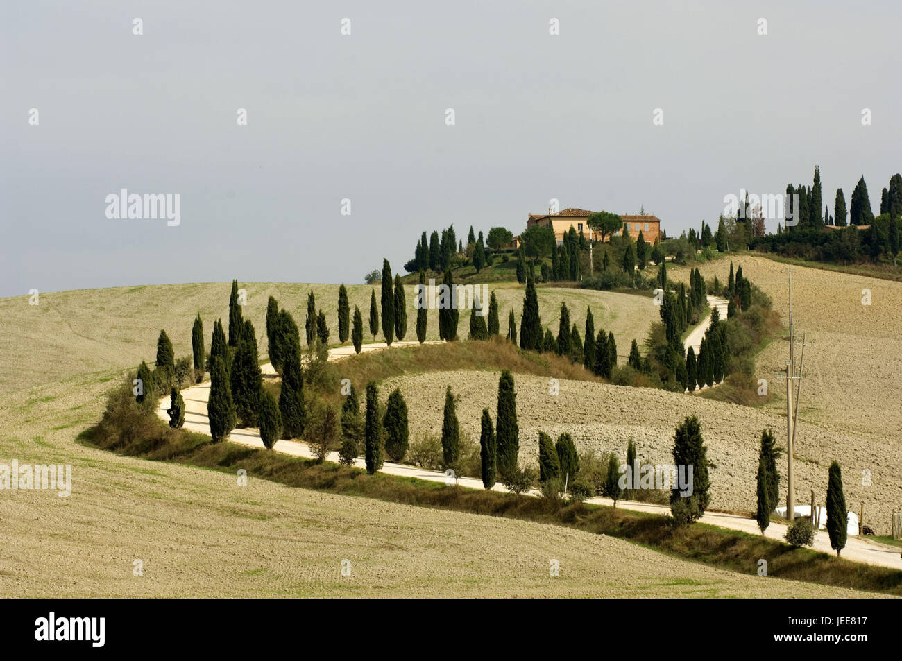 Italien, Toskana, Landschaft, nahe Siena, Hügel, Haus, Straße, Zypressen, Stockfoto