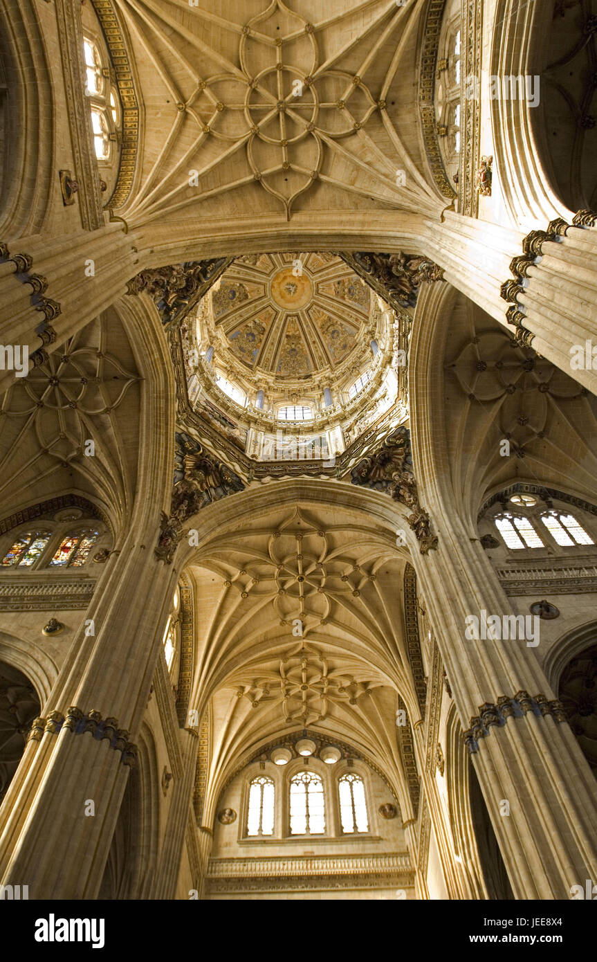 Neue Kathedrale, Dome, Tresor, Salamanca, Kastilien und Leon, Spanien Stockfoto