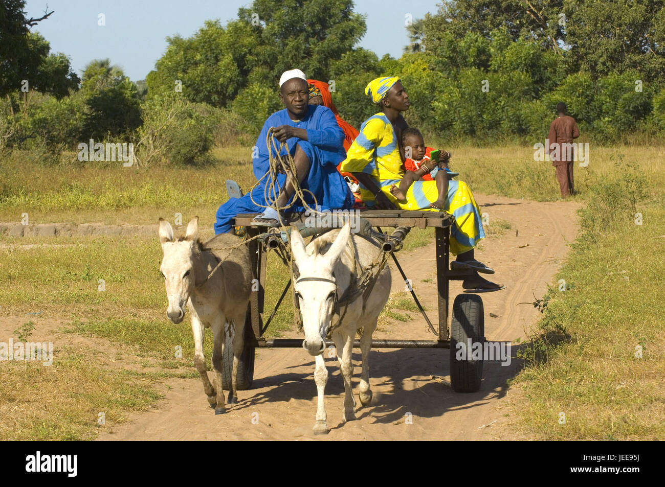 Weg, Familie, Antrieb, Eselkarren, Senegal, Stockfoto