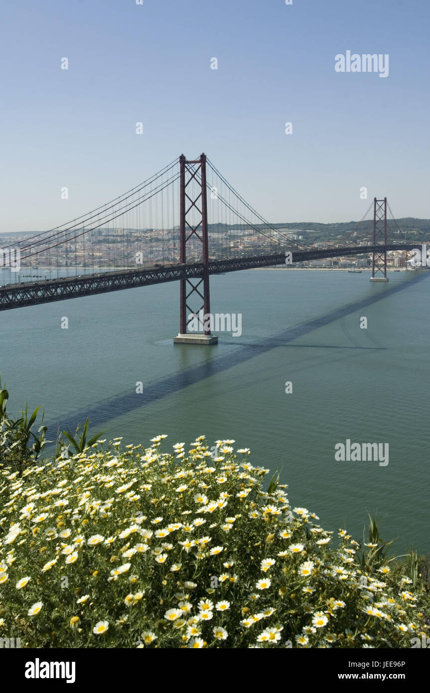 Ponte 25 de Abril, Fluss Tajo, Blumen, Lissabon, Portugal, Stockfoto