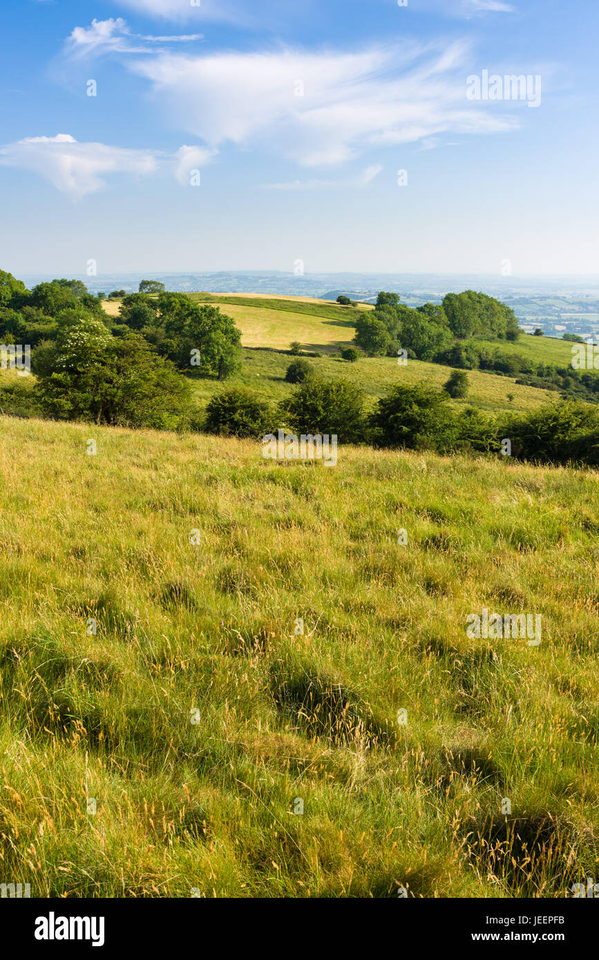 Deerleap am südwestlichen Hang des Mendip Hills in der Nähe von Westbury-Sub-Mendip, Somerset, England. Stockfoto