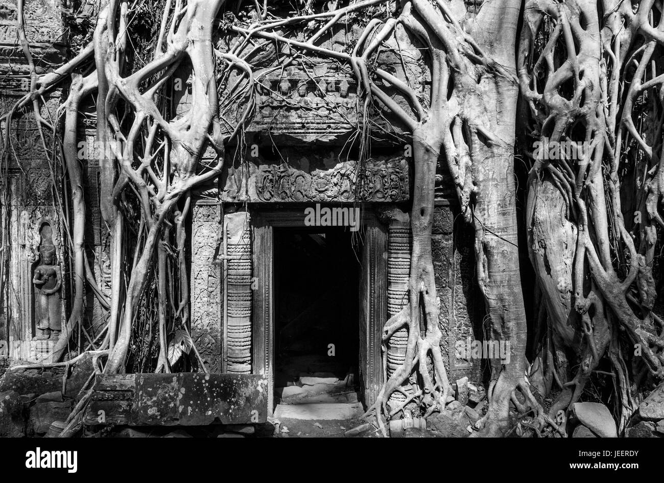 Eine Eingangstür im Khmer Stil Ta Prohm Tempel mit Wurzeln aus Feigen, Banyan und Kapokbäume, Angkor, Siem Reap, Kambodscha. Stockfoto