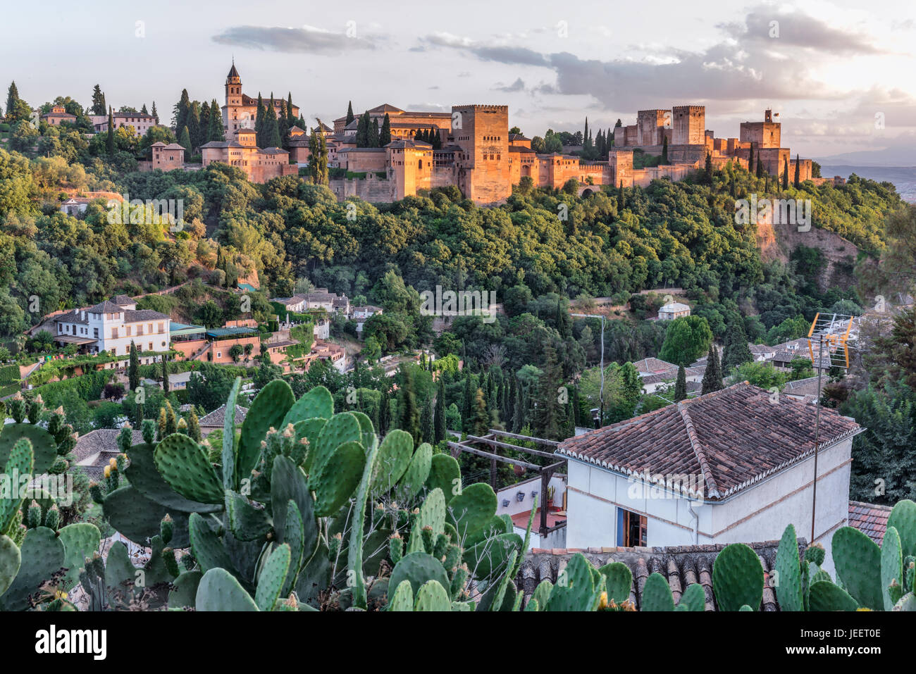 Blick auf die Alhambra Komplex und Nazrid Palast aus Sacromonte mit Kakteen im Vordergrund Stockfoto