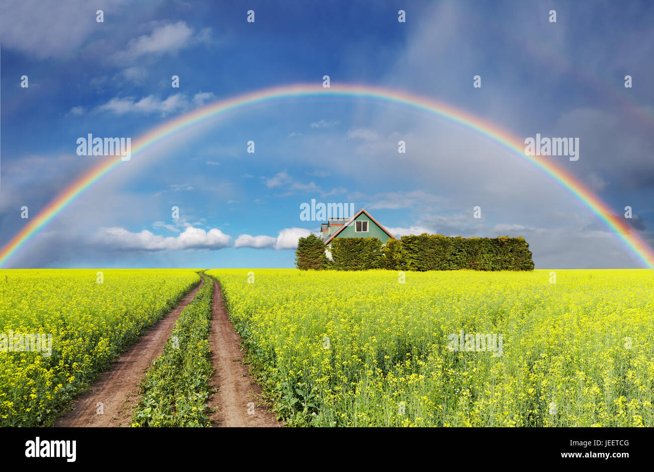 Ländlichen Landschaft mit Regenbogen über blühende Feld und Haus Stockfoto