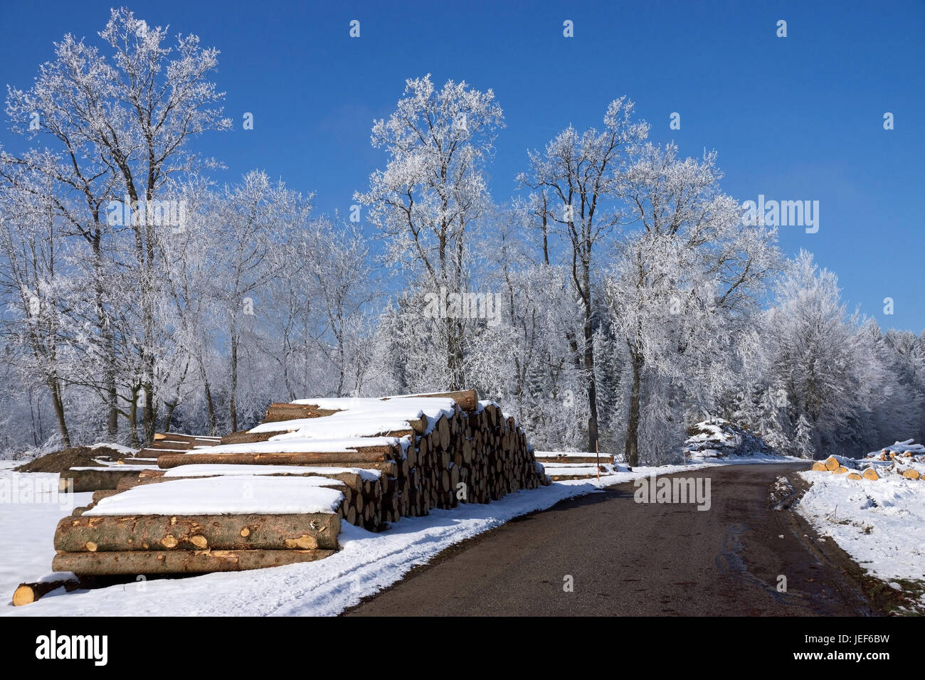 Abholzung in Winter, hölzernen Stapel in der Straße Rand., Holzeinschlag Im Winter, bin Holzstapel Strassenrand. Stockfoto