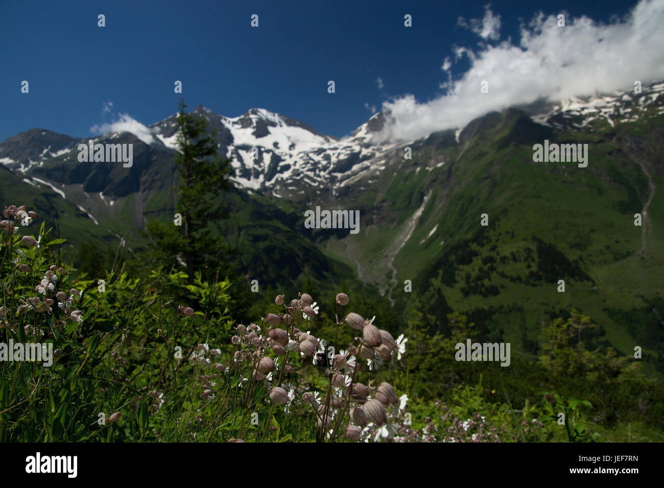 Gro? Glockner Hochalpenstraße verbindet die beiden österreichischen Bundesländer Salzburg und Kärnten als einer hochalpinen Bergstraße. , Sterben Großglockner Hochal Stockfoto