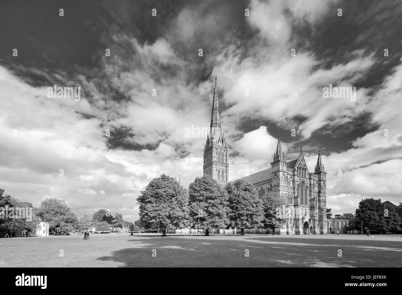 Salisbury Kathedrale, Wiltshire, England, UK Stockfoto