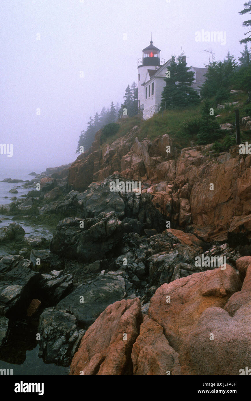 Einem nebligen Tag am Bass Harbor Head Light (1855) ist ein Leuchtturm im Acadia National Park an der Südostecke des Mount Desert Island, Stockfoto